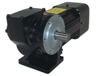 P2 Geared Motor